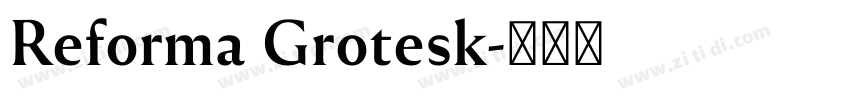 Reforma Grotesk字体转换